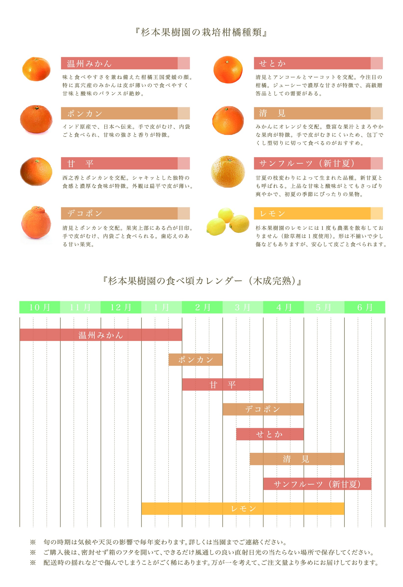 食べ頃カレンダー 杉本果樹園 八寿みかん 食べ頃カレンダー 杉本果樹園 八寿みかん