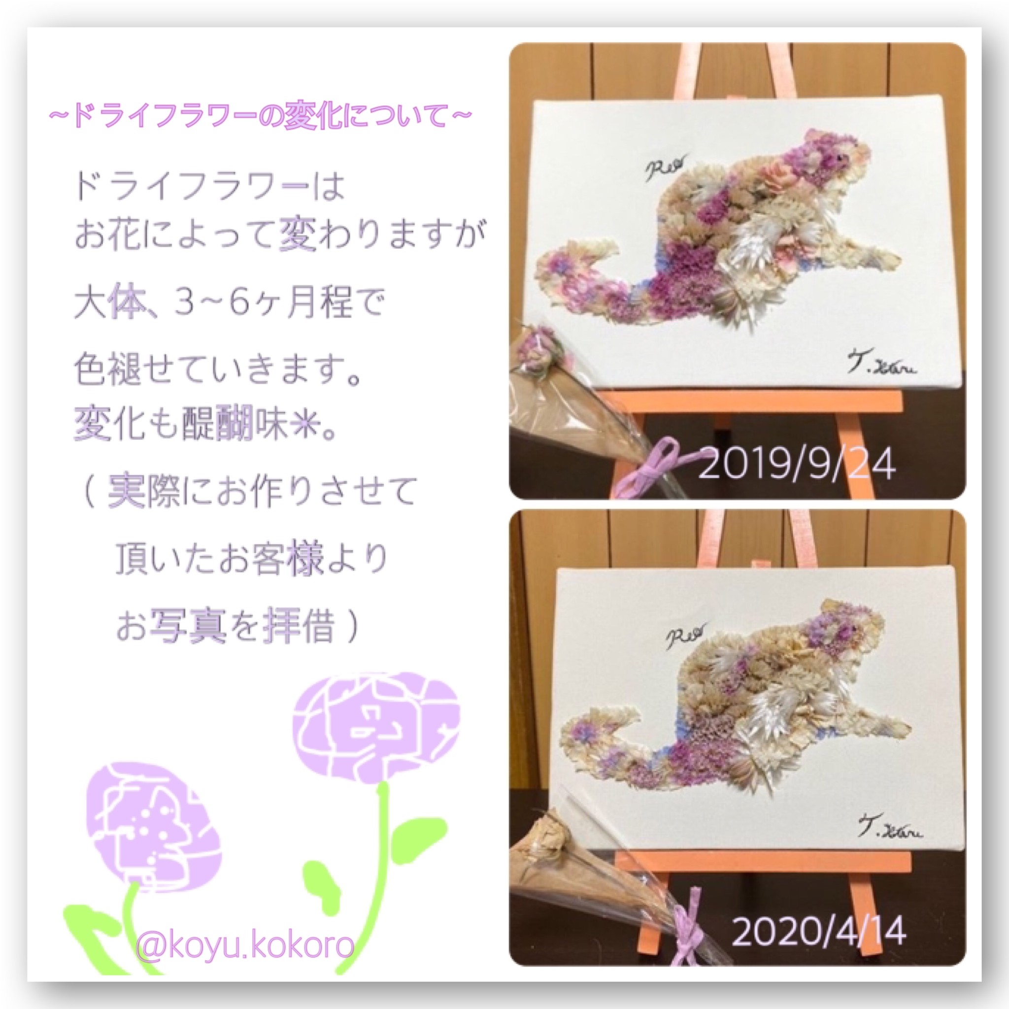 ドライフラワーの色の変化について Koyukokoro ドライフラワーの色の変化について Koyukokoro