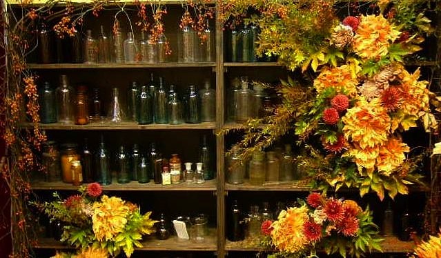 botanic anthology base