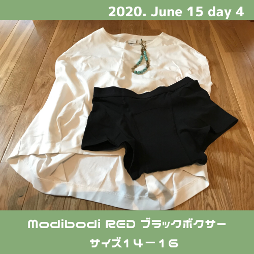 梅雨のジメジメにも蒸れないショーツ 月とハンモック 母から娘へ伝える次世代生理用品 吸収型サニタリーショーツの通販