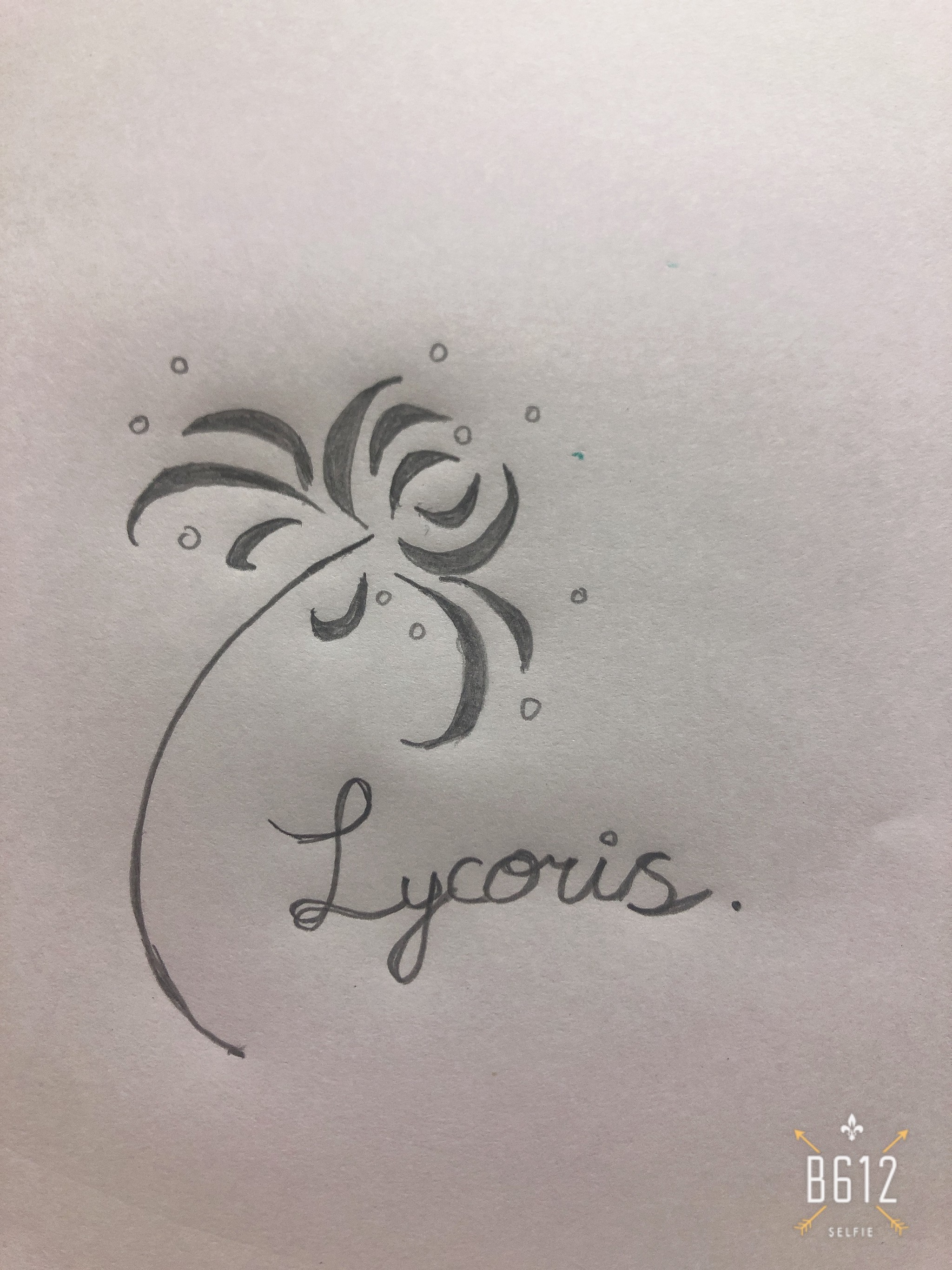 lycoris