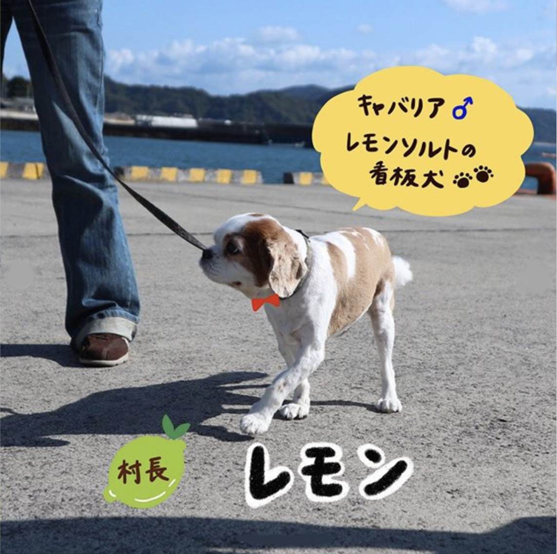 れもんの村 れもんの村