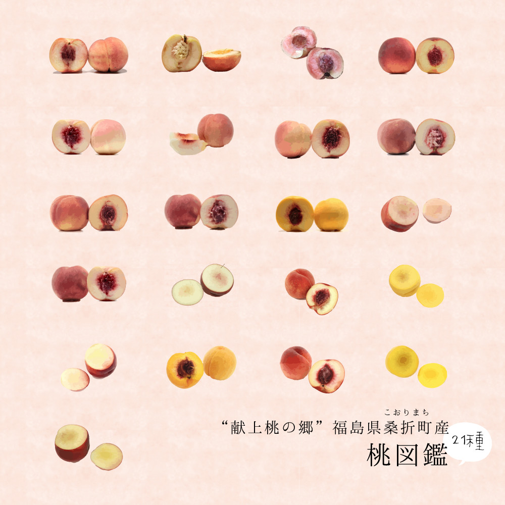 あなたの 推し桃 は 献上桃の郷福島県桑折町産の桃は21種類 福ももの酢