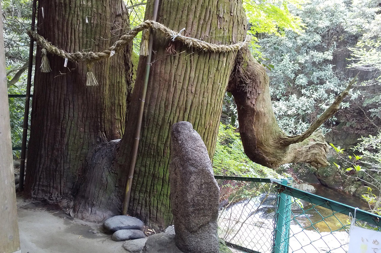 龍神八大龍王神社 熊本県菊池市 ぴょん吉