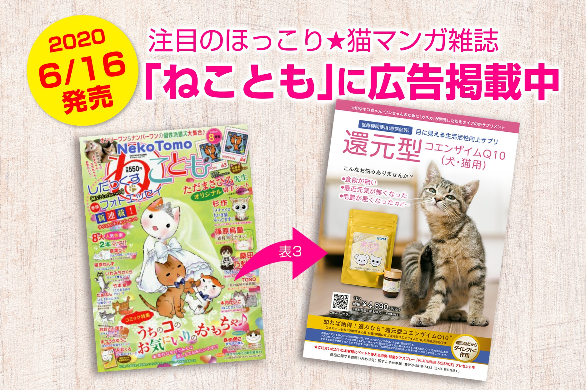 還元型コエンザイムq10と言えば カネカ 人気猫マンガ雑誌 ねことも に広告掲載中 健やかな暮らしのために すこやか本舗