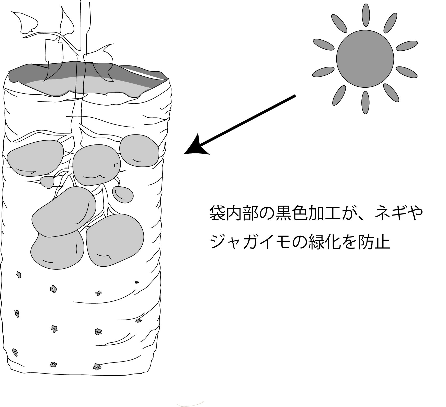 袋栽培の特徴 注意事項 使用方法 上手な活用法 袋栽培のtheskyfarmers 袋栽培の特徴 注意事項 使用方法 上手な活用法 袋栽培のtheskyfarmers