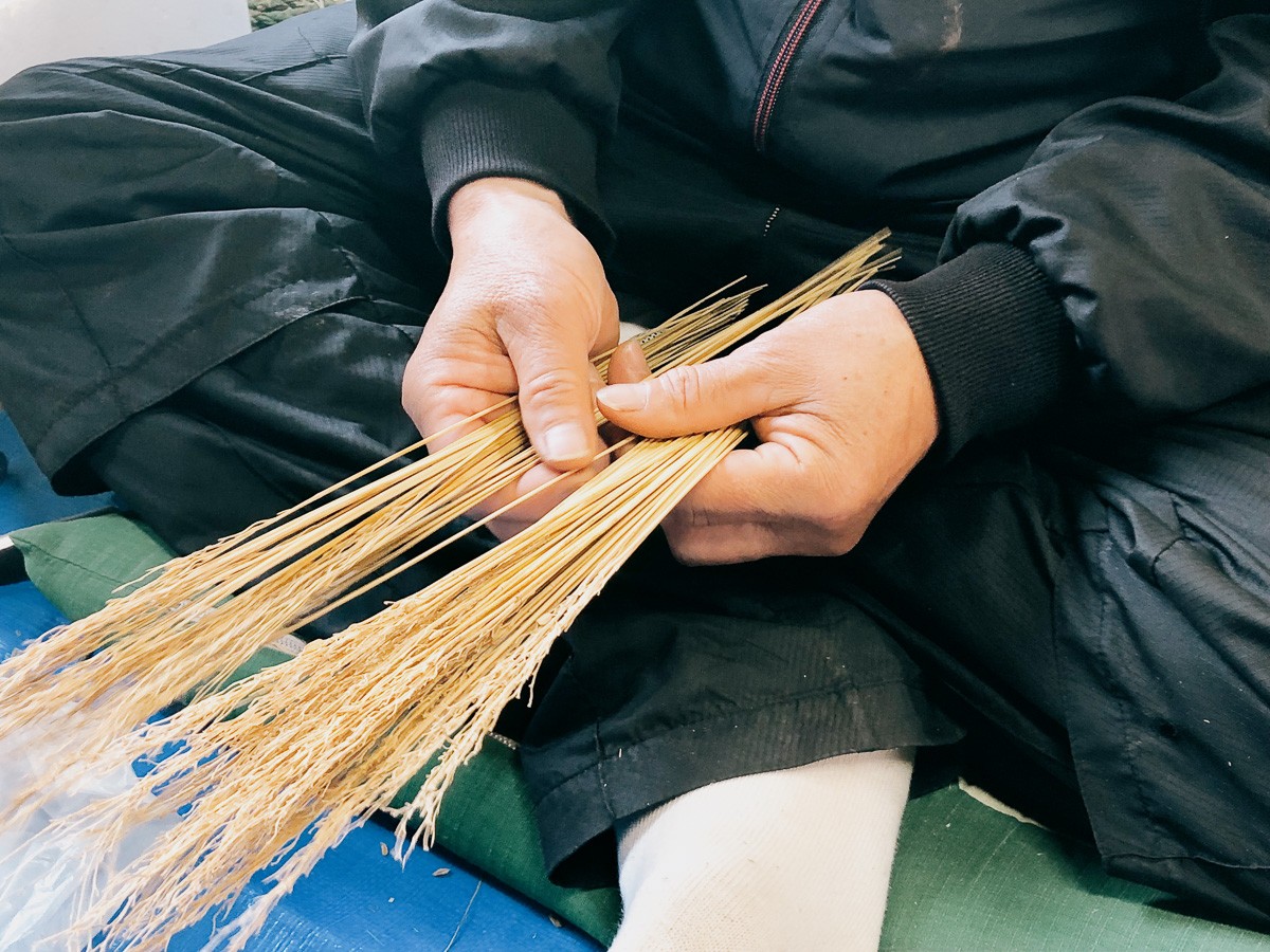 わら細工と歩んできた豊かな暮らし 手しごとのある暮らし Maru わら細工と歩んできた豊かな暮らし 手しごとのある暮らし Maru