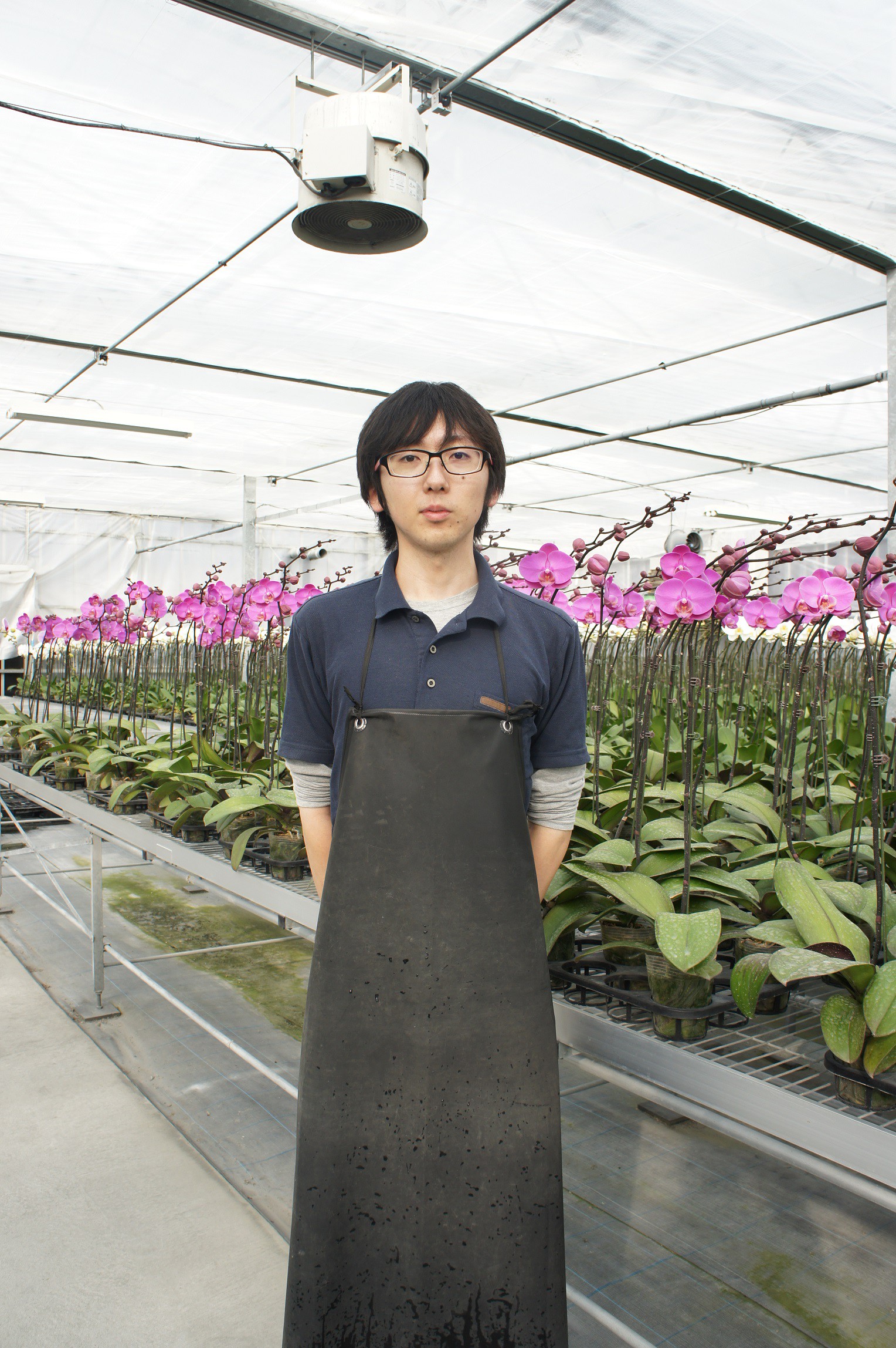 胡蝶蘭 生産者 マルイ洋蘭開発センター 様 スマイルフラワープロジェクト