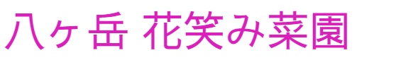 ラーマトゥルシーティー ティーパック 6g 2ｇ 3包 八ヶ岳花笑み菜園