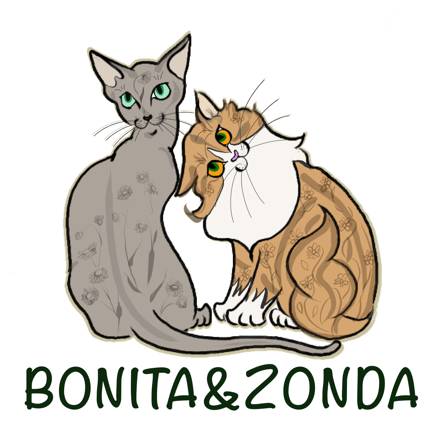 Bonita Zonda Bonita Zonda