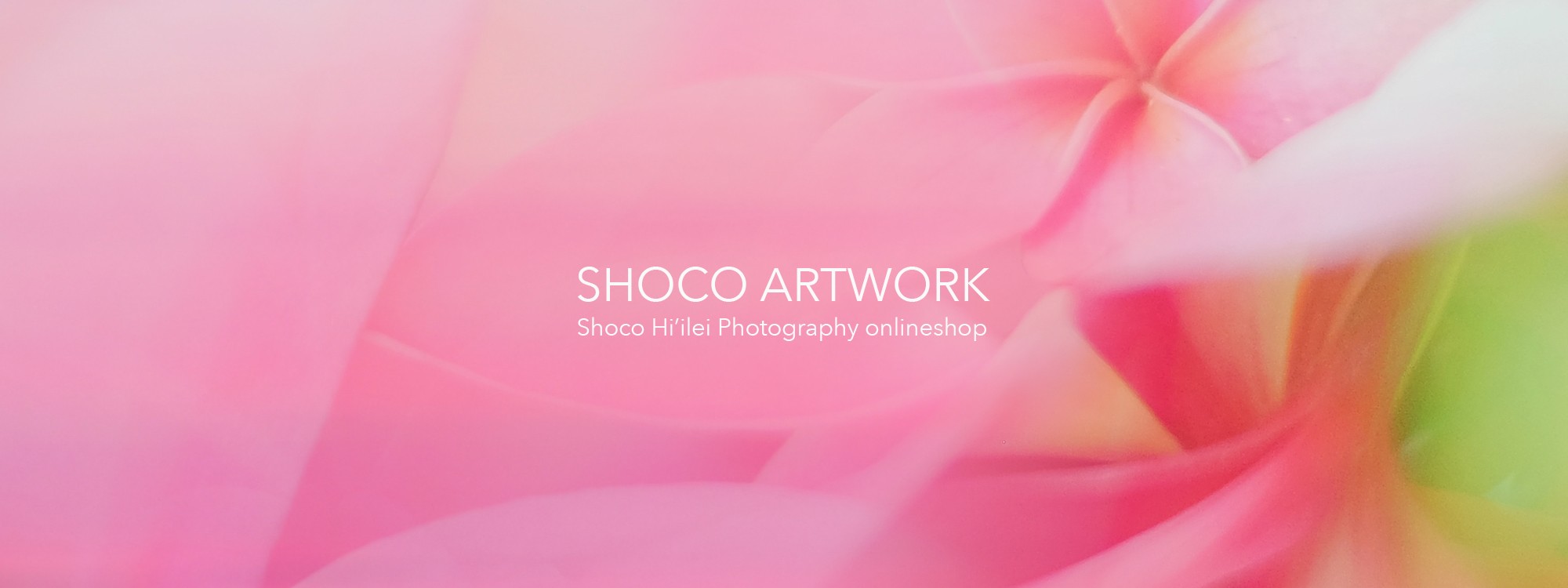 SHOCO ARTWORK