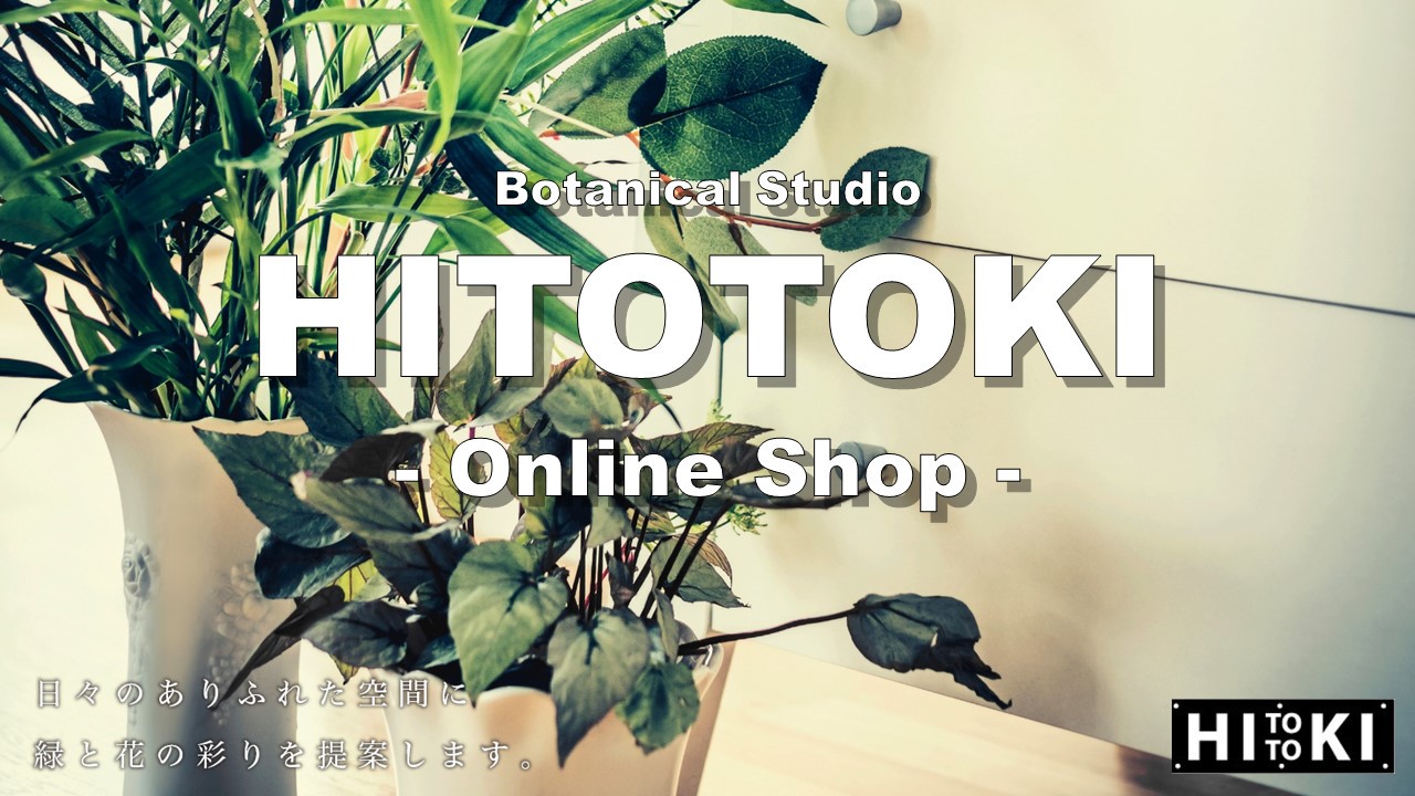 フェニックス ロベレニー Hitotoki Online Shop