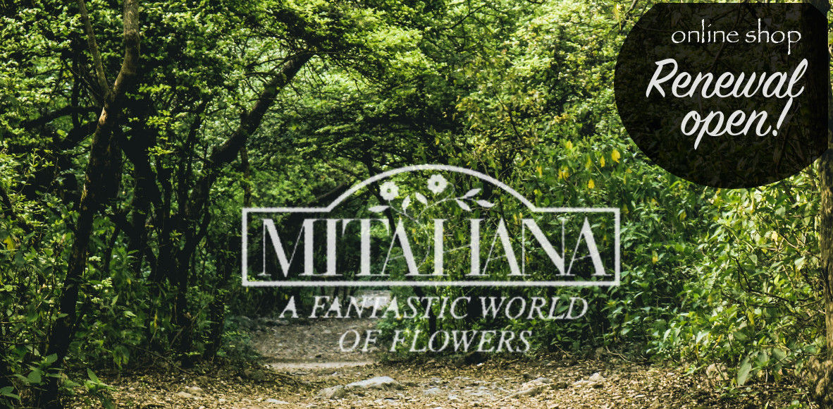 Mitahana Online Shop Official Web Site