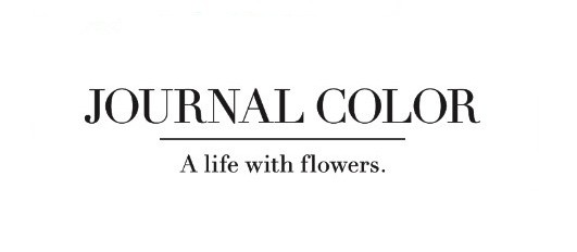 journalcolor
