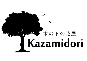 木の下の花屋　Kazamidori
