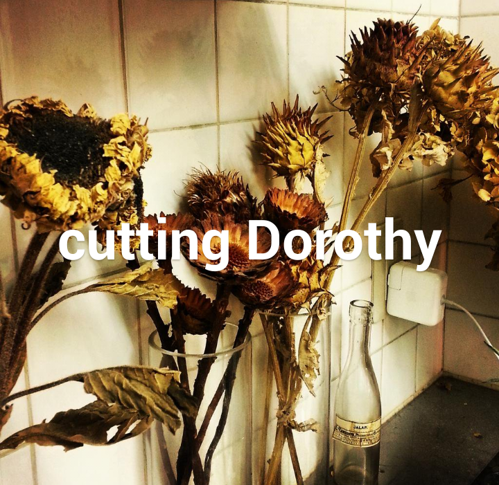 cutting Dorothy