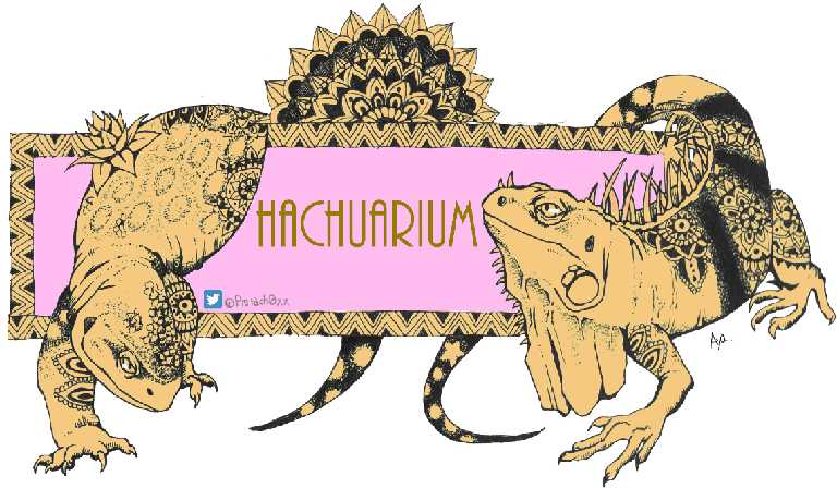 Tシャツ お洒落イグアナ Hachuarium