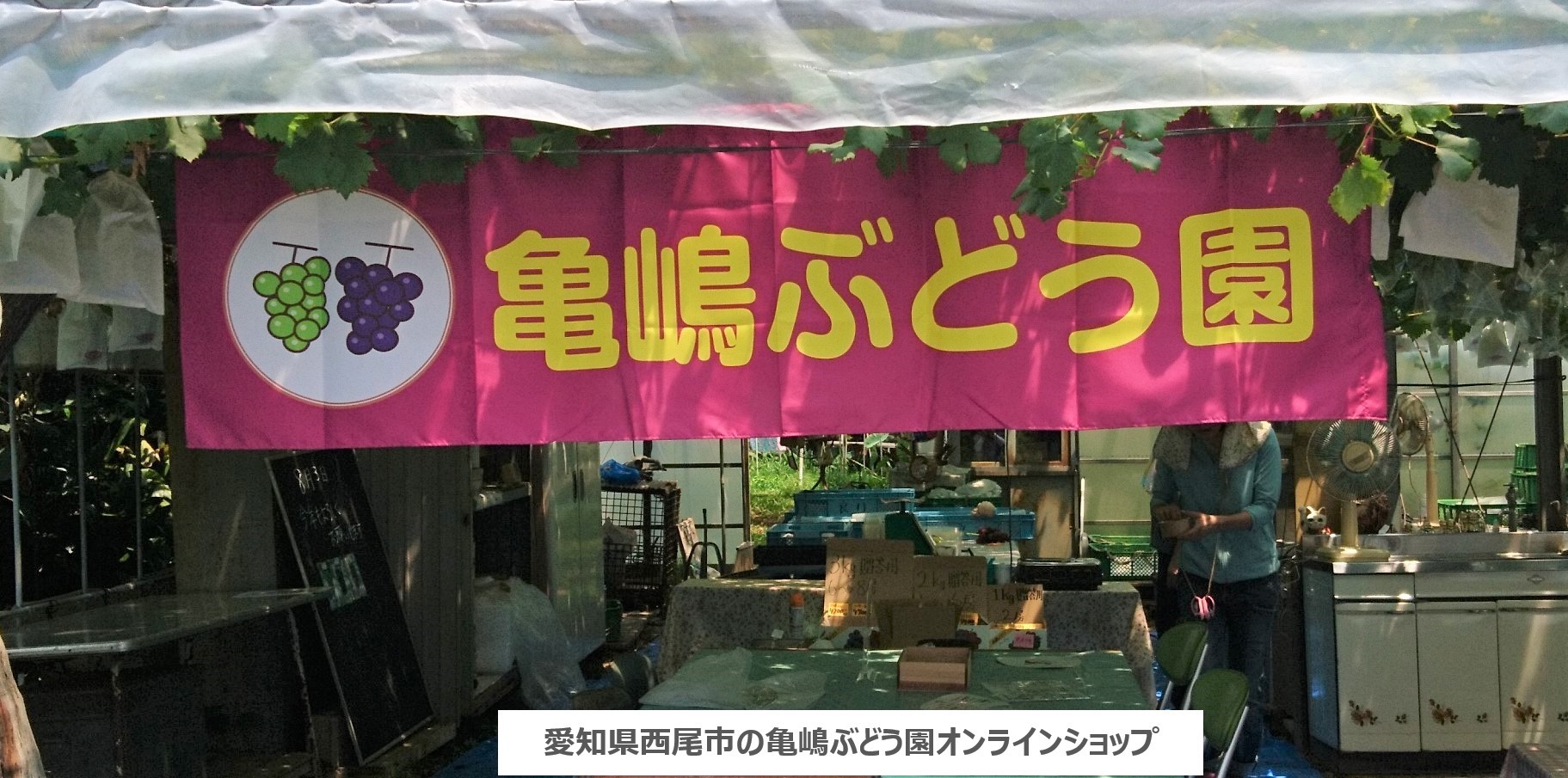 カッタクルガン(種なし、皮ごと) 化粧箱入り 亀嶋ぶどう園 ~オンラインショップ~