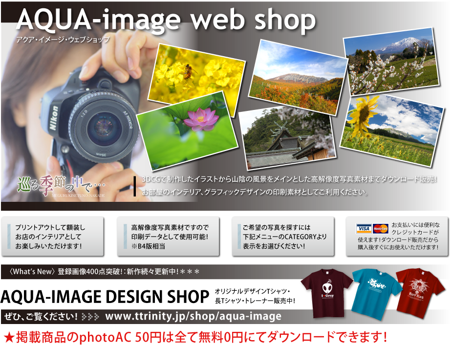 木漏れ日と新緑 無料 Aqua Image Web Shop 高解像度ロイヤリティーフリー写真素材ダウンロードサイト