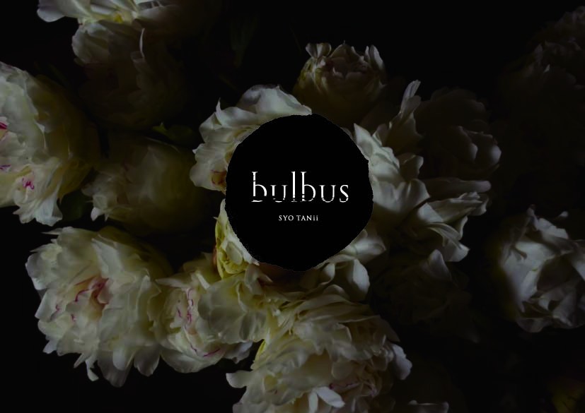bulbus