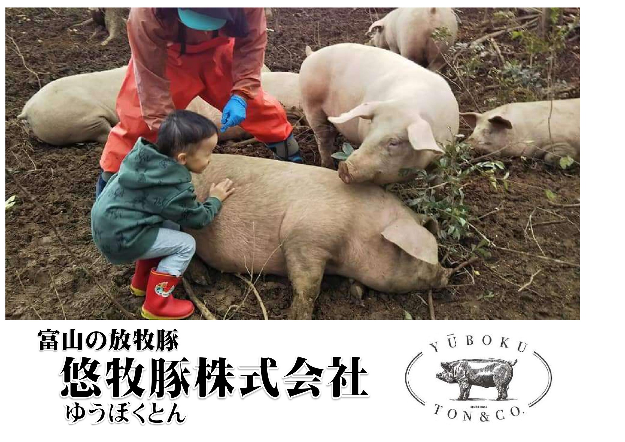 悠牧豚 Yubokuton