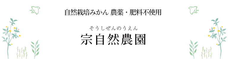 酸味と甘さの黄金比率 皮ごと食べられる温州みかん 金の蜜柑 １０kg 定番サイズ 宗自然農園 Official Online Shop