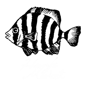 入荷 生物好きのための海の生き物テープ Harry S Market