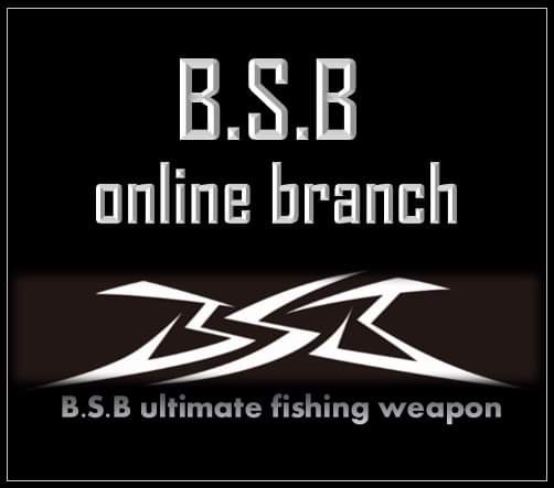 BSB online branch