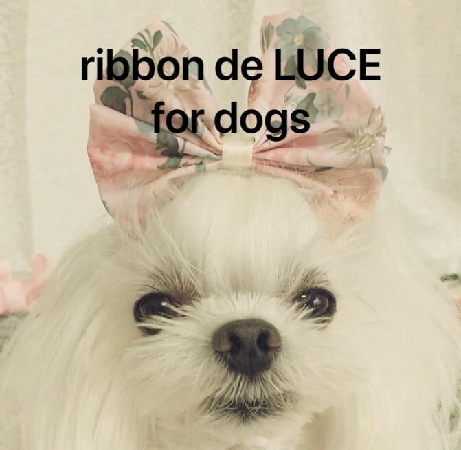 犬用ヘアアクセサリー Ribbon De Luce For Dogs