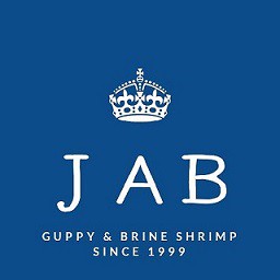 ソルトレイク産 ブラインシュリンプエッグ 孵化率90％ 50g 送料無料 | JAB