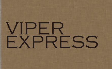 VIPER EXPRESS