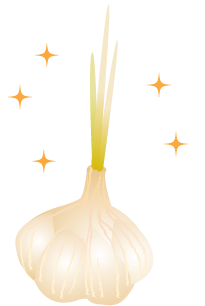 においが少ない 高栄養価 生産数希少 薩摩にんにくスプラウト 280g Saiou