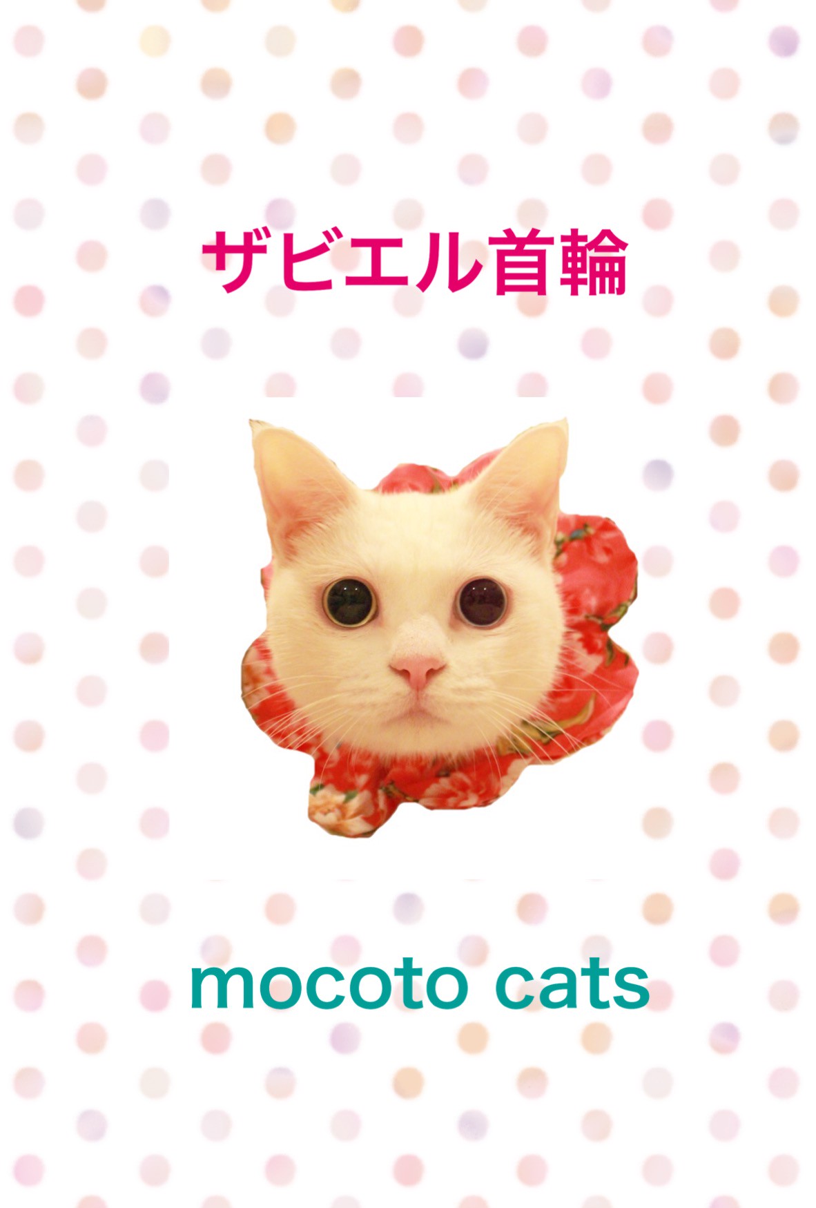 ザビエル首輪 Mocoto Cat