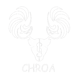 CHROA(クロア)アートクラフトビア