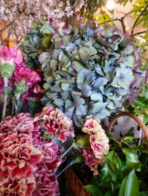 出店決まりました☆