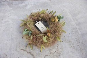 Smoketree wreathe | スモークツリーリース