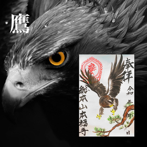 初詣限定 鷹御朱印 登場 初詣限定 鷹御朱印 登場