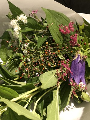 京の和花便り・ 風