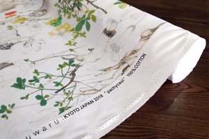 pachycaul (×50cm)
