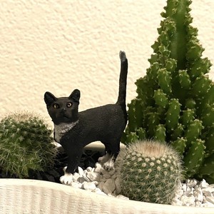 受注生産品 黒猫 Sa03lw Cat ねこ サボテン 観葉植物 インテリア グリーン ミニチュア かわいい 動物 フィギュア 三和ポチット