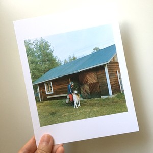 「トナカイ」大きいpostcard