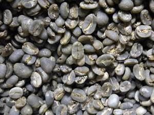 生豆　インドネシア マンデリン GRADE－1　１ＫＧ　（税込み価格）