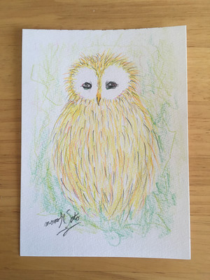【原画】黄色いフクロウ 色鉛筆 （gs_015）