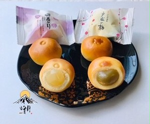 野菊の詩 戸定の梅 野菊の詩 戸定の梅