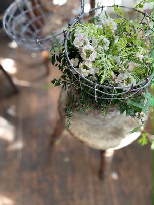 母の日 鳥かごの寄せ植え Fleuriste Petitapetit