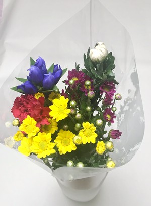 パック花 Plusflower パック花 Plusflower