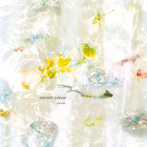 [CD] sonsofu/ROTARY DREAM