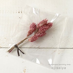 パステル花材 ポアプランツ カラードライフラワー 自然素材こわけ専門店 あじさいや