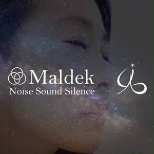 【CD-R】Maldek -Noise Sound Silence-