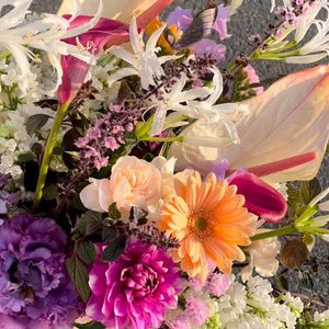 武田 彩花 Message Flower Box S Flower Creation Room Shop